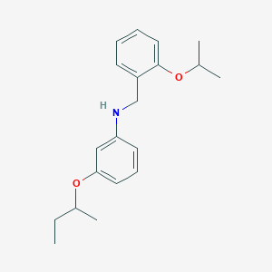 3-(Sec-butoxy)-N-(2-isopropoxybenzyl)aniline