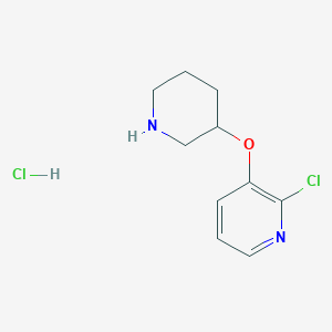 molecular formula C10H14Cl2N2O B1451093 2-氯-3-吡啶基 3-哌啶基醚盐酸盐 CAS No. 1185304-28-2
