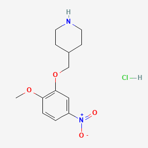 molecular formula C13H19ClN2O4 B1451103 2-Methoxy-5-nitrophenyl 4-piperidinylmethyl ether hydrochloride CAS No. 1185297-80-6