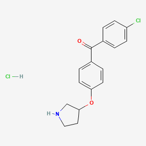 molecular formula C17H17Cl2NO2 B1451105 (4-Chlorophenyl)[4-(3-pyrrolidinyloxy)phenyl]-methanone hydrochloride CAS No. 1185303-52-9