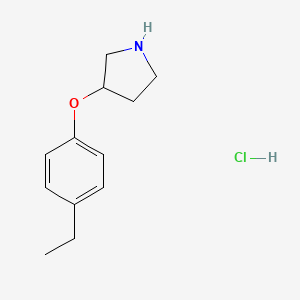 molecular formula C12H18ClNO B1451106 3-(4-乙基苯氧基)吡咯烷盐酸盐 CAS No. 1185088-27-0
