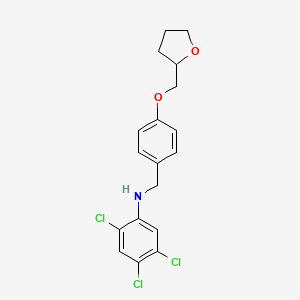 molecular formula C18H18Cl3NO2 B1451202 2,4,5-Trichloro-N-[4-(tetrahydro-2-furanylmethoxy)benzyl]aniline CAS No. 1040681-29-5