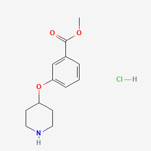 molecular formula C13H18ClNO3 B1451216 Methyl 3-(4-piperidinyloxy)benzoate hydrochloride CAS No. 936128-98-2
