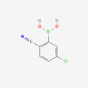 molecular formula C7H5BClNO2 B1451294 5-Chloro-2-cyanophenylboronic acid CAS No. 1072946-52-1
