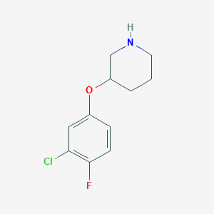 molecular formula C11H13ClFNO B1451404 3-(3-氯-4-氟苯氧基)哌啶 CAS No. 946759-15-5