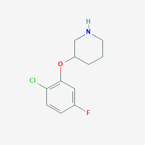 molecular formula C11H13ClFNO B1451405 3-(2-Chloro-5-fluorophenoxy)piperidine CAS No. 946759-52-0