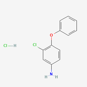 molecular formula C12H11Cl2NO B1451447 3-Chloro-4-phenoxyaniline hydrochloride CAS No. 35734-64-6