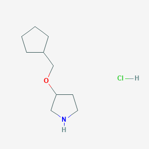 molecular formula C10H20ClNO B1451472 3-(Cyclopentylmethoxy)pyrrolidine hydrochloride CAS No. 1185297-82-8