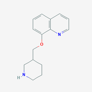 molecular formula C15H18N2O B1451489 8-(3-Piperidinylmethoxy)quinoline CAS No. 946680-32-6