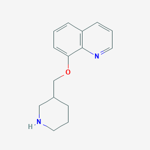 8-(3-Piperidinylmethoxy)quinoline