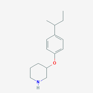 molecular formula C15H23NO B1451564 3-[4-(sec-Butyl)phenoxy]piperidine CAS No. 946759-32-6