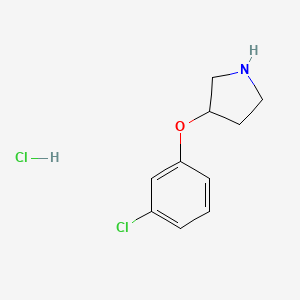 molecular formula C10H13Cl2NO B1451565 3-(3-氯苯氧基)吡咯烷盐酸盐 CAS No. 28491-00-1