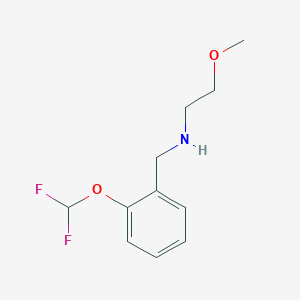 molecular formula C11H15F2NO2 B1451635 {[2-(Difluoromethoxy)phenyl]methyl}(2-methoxyethyl)amine CAS No. 1019604-63-7