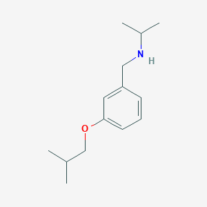 molecular formula C14H23NO B1451640 N-(3-Isobutoxybenzyl)-2-propanamine CAS No. 1040683-53-1