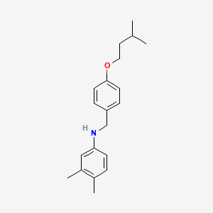 molecular formula C20H27NO B1451643 N-[4-(异戊氧基)苄基]-3,4-二甲基苯胺 CAS No. 1040689-28-8