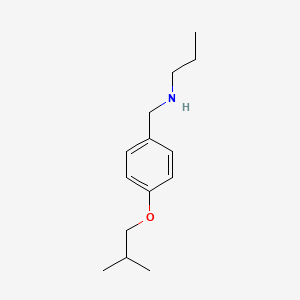 molecular formula C14H23NO B1451645 N-(4-Isobutoxybenzyl)-1-propanamine CAS No. 1040685-10-6