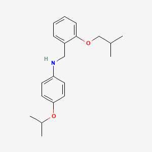 molecular formula C20H27NO2 B1451646 N-(2-Isobutoxybenzyl)-4-isopropoxyaniline CAS No. 1040692-62-3