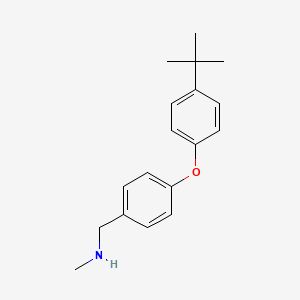 molecular formula C18H23NO B1451662 N-[4-(4-tert-Butylphenoxy)benzyl]-N-methylamine CAS No. 1082908-68-6