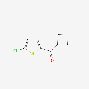 (5-Chlorothiophen-2-yl)(cyclobutyl)methanone