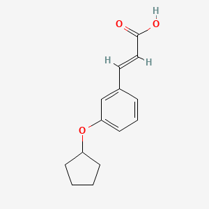 molecular formula C14H16O3 B1451883 3-[3-(Cyclopentyloxy)phenyl]prop-2-enoic acid CAS No. 1158107-24-4
