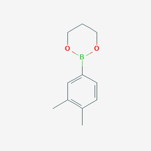 molecular formula C11H15BO2 B1451937 2-(3,4-Dimethylphenyl)-1,3,2-dioxaborinane CAS No. 208390-39-0
