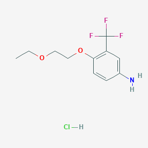 4-(2-Ethoxyethoxy)-3-(trifluoromethyl)aniline hydrochloride