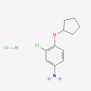 molecular formula C11H15Cl2NO B1452083 3-Chloro-4-(cyclopentyloxy)aniline hydrochloride CAS No. 1197687-18-5