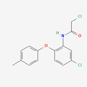 2-chloro-N-[5-chloro-2-(4-methylphenoxy)phenyl]acetamide