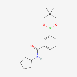 molecular formula C17H24BNO3 B1452248 N-环戊基-3-(5,5-二甲基-1,3,2-二氧杂硼环庚-2-基)苯甲酰胺 CAS No. 850567-45-2