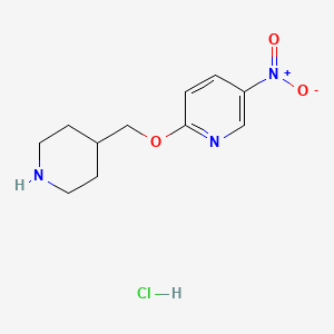 5-Nitro-2-(4-piperidinylmethoxy)pyridine hydrochloride