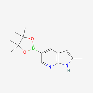molecular formula C14H19BN2O2 B1452318 2-Methyl-5-(4,4,5,5-tetramethyl-1,3,2-dioxaborolan-2-YL)-1H-pyrrolo[2,3-B]pyridine CAS No. 1111638-03-9