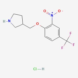 molecular formula C12H14ClF3N2O3 B1452398 3-{[2-Nitro-4-(trifluoromethyl)phenoxy]-methyl}pyrrolidine hydrochloride CAS No. 1220020-52-9