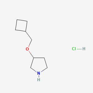 molecular formula C9H18ClNO B1452402 3-(Cyclobutylmethoxy)pyrrolidine hydrochloride CAS No. 1220020-87-0