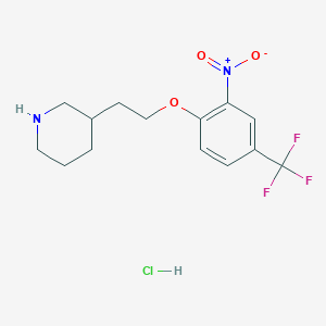 molecular formula C14H18ClF3N2O3 B1452403 3-{2-[2-Nitro-4-(trifluoromethyl)phenoxy]-ethyl}piperidine hydrochloride CAS No. 1219967-40-4