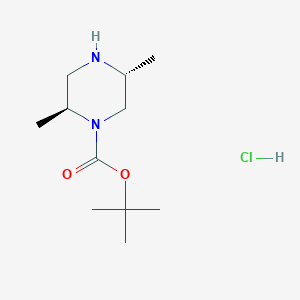 molecular formula C11H23ClN2O2 B1452441 (2S,5R)-1-Boc-2,5-dimethylpiperazine hydrochloride CAS No. 1374975-96-8