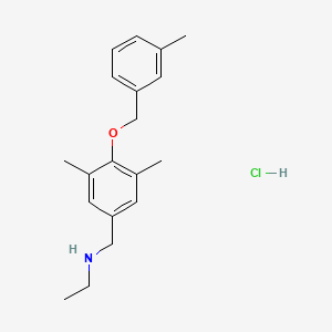 molecular formula C19H26ClNO B1452459 ({3,5-Dimethyl-4-[(3-methylphenyl)methoxy]phenyl}methyl)(ethyl)amine hydrochloride CAS No. 1311317-08-4