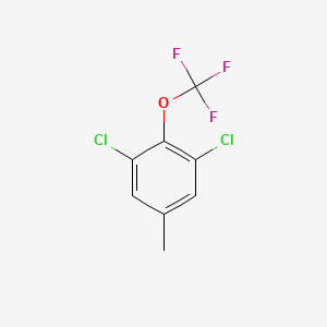 molecular formula C8H5Cl2F3O B1452491 1,3-Dichloro-5-methyl-2-(trifluoromethoxy)benzene CAS No. 1350760-79-0