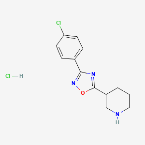 molecular formula C13H15Cl2N3O B1452580 3-[3-(4-Chlorophenyl)-1,2,4-oxadiazol-5-yl]piperidine hydrochloride CAS No. 1240527-11-0