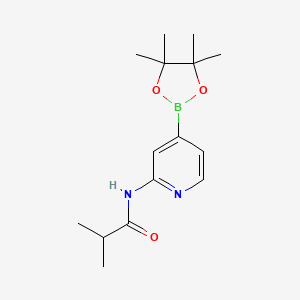 molecular formula C15H23BN2O3 B1452584 N-(4-(4,4,5,5-tetraMethyl-1,3,2-dioxaborolan-2-yl)pyridin-2-yl)isobutyraMide CAS No. 1286230-84-9