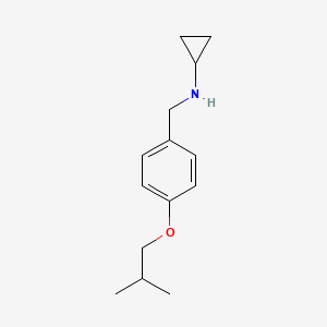molecular formula C14H21NO B1452613 Cyclopropyl-(4-isobutoxybenzyl)-amine CAS No. 1095127-65-3