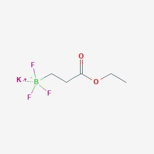 molecular formula C5H9BF3KO2 B1452764 Potassium (3-ethoxy-3-oxopropyl)trifluoroborate CAS No. 1023357-64-3