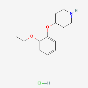 molecular formula C13H20ClNO2 B1452780 4-(2-乙氧基苯氧基)哌啶盐酸盐 CAS No. 1197760-65-8
