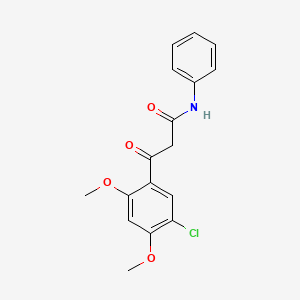 molecular formula C17H16ClNO4 B1452972 3-(5-chloro-2,4-dimethoxyphenyl)-3-oxo-N-phenylpropanamide CAS No. 1228552-44-0