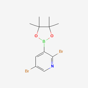 molecular formula C11H14BBr2NO2 B1453043 2,5-Dibromo-3-(4,4,5,5-tetramethyl-1,3,2-dioxaborolan-2-yl)pyridine CAS No. 852228-17-2