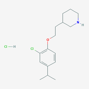 molecular formula C16H25Cl2NO B1453056 3-[2-(2-氯-4-异丙苯氧基)乙基]-哌啶盐酸盐 CAS No. 1220029-28-6