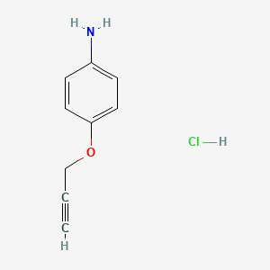 molecular formula C9H10ClNO B1453216 [4-(Prop-2-yn-1-yloxy)phenyl]amine hydrochloride CAS No. 1217129-50-4