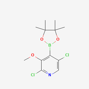 molecular formula C12H16BCl2NO3 B1453261 2,5-Dichloro-3-methoxy-4-(4,4,5,5-tetramethyl-1,3,2-dioxaborolan-2-yl)pyridine CAS No. 1357387-36-0