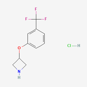 molecular formula C10H11ClF3NO B1453346 3-[3-(Trifluoromethyl)phenoxy]-azetidine hydrochloride CAS No. 1188374-88-0