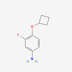 molecular formula C10H12FNO B1453597 4-Cyclobutoxy-3-fluoroaniline CAS No. 1247239-61-7