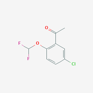 molecular formula C9H7ClF2O2 B1453607 1-[5-Chloro-2-(difluoromethoxy)phenyl]ethan-1-one CAS No. 1250157-06-2